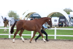 SBM_05038