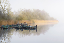 284 - Esthwaite Water, Lake District