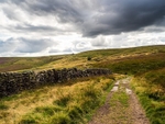 Haworth Moor