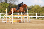 SBM_001879