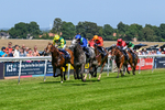 230626-Race 2-Tattie Bogle-0349