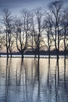 28 December 2015 CIVIC TRUST KNAVESMIRE IN FLOOD - 8 of 9
