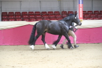 SBM_00537