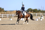 SBM_012396