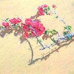 dancing shadows