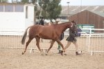 SBM_08438