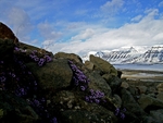 Svea 6030052