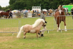 SBM_03495