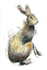 "HARE"