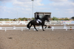 SBM_04082
