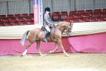 SBM_06990