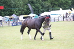 SBM_11461