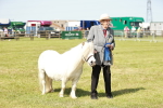 SBM_02028