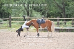 BPP_5304