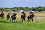 220726-Race 6-Barmyblade-0250