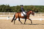 SBM_003827