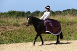 Class 24: Ridden Concours D'Elegance portfolio