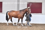 BPP_1034