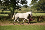 SBM_60062