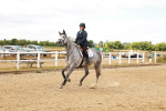 SBM_005993