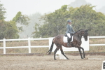 SBM_003900