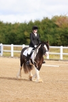 SBM_009321