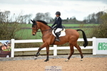 Cls 30 85cm Amateur Quali portfolio