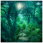 The Secret Path