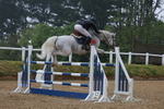 Class 8: Senior Foxhunter/1.20 open portfolio