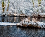 River Nairn -  January