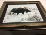 Fighting the Blizzard_1566