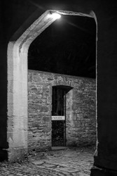 NIGHT portfolio