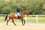 SBM_003595