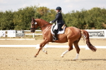 SBM_004569