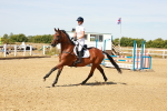 SBM_002631