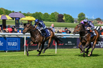 120526-Race 3-Merlier-7808