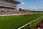 220826-Race 7-Raammee-0826