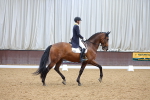 SBM_002649