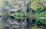 Glencoe Lochan (4)