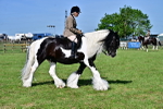 SBM_12135