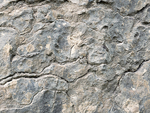 Greenleighton IV Textures