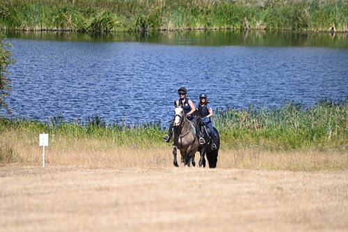 WJ6_8653