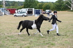 WJ6_5341