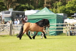 SBM_00835