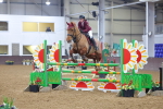 Class 22  - Senior Newcomers/ 1.10m Open - First Round (1.10m) portfolio