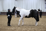 SBM_5275