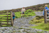 Skiddaw-445