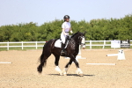SBM_009052
