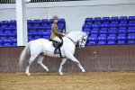 M&M Novice WHP Championship portfolio