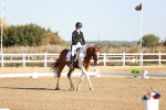 Class 12 - Novice 5 - 9.07-10.10 portfolio